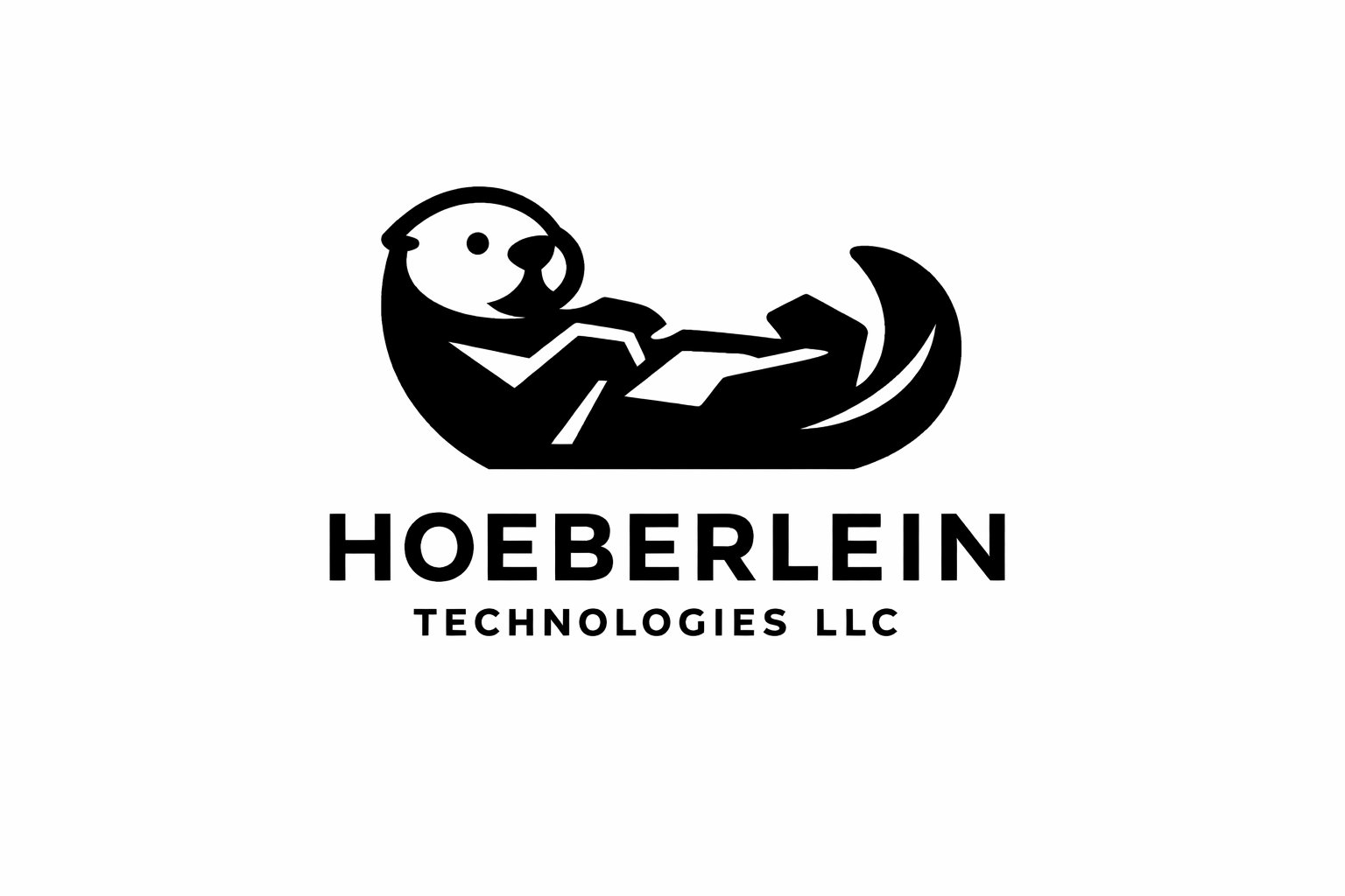 Hoeberlein Technologies LLC